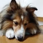 けんしろう - @kenmaki510 - Instagram