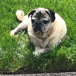 Ken Mather - @kfm0524 - Instagram