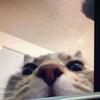 kenny - @kenneth.mathison - TikTok
