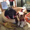 Ken McClain - @ken.mcclain4 - TikTok