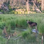 Ken Mcdowell - @ken.mcdowell.5439 - Instagram