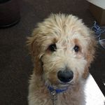 Ken McDowell - @ken.mcdowell.712 - Instagram