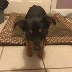 Kennedy_Rylan_McHenry - @kennedy_rylan_mchenry - Instagram