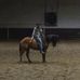 Ken McNabb Top Bid Jakes Horses - Facebook