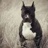 Kennedy Melville - @kennedy.melville - TikTok