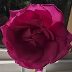 Ken Meyer - @kenmeyer57 - Instagram