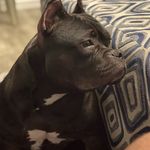 Ken Mims - @_kmims - Instagram