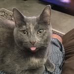Ken Mitchell - @kenmitchell319 - Instagram