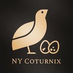 Ken Mitchell - @nycoturnix - Instagram