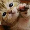 Ken Mitchell - @ken.mitchell6 - TikTok