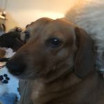 Ken Morrow - @kenmorrow56 - Instagram