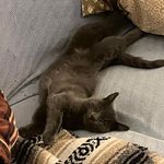 Ken Moyer - @kmoyer.371 - Instagram