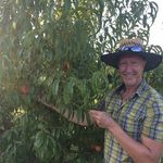 Ken  Mueller - @garden_whisperer - Instagram