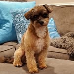 Ken Mueller - @kengmueller - Instagram