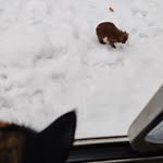 Ken Munro - @ken.munro.731 - Instagram