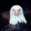 kenmyer625 - @kenmyer625 - TikTok