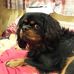 Ken Newbold - Facebook