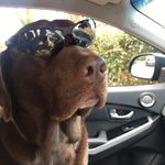 Kenny Newbold - @kennynewbold - Instagram
