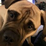 Ken Nicholson - @k9nick - Instagram