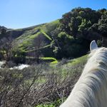Ken Nicholson - @nicholson_ken - Instagram