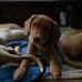 Kenny Nussbaum - Facebook