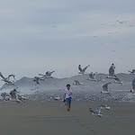 Ken Ober - @ken_ober - Instagram