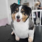 Ken Ogden - @kenogden1955 - Instagram