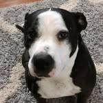 Ken Passmore - @ken.passmore.1 - Instagram