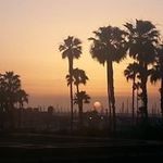 Ken Peden - @kenpeden - Instagram