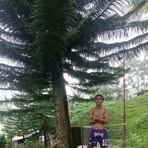 Ken Perez - Facebook