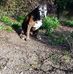 Ken Poole - Facebook
