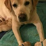 kenportillo - @kenportillop - Instagram
