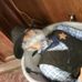Kenneth Prater - Facebook