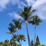Ken Privette - @kbprivette45ken - Instagram