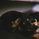 Kenny Probst - @spaceguy19_ - Instagram
