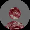 kensi_ragland - @kensi_ragland - TikTok