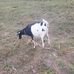 Ken Ramsey - Facebook