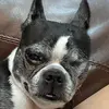 kenzie Rasmussen - @kenzierasmussen - TikTok
