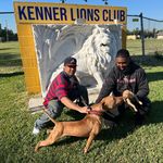 Ready Red - @ready_red_kennels - Instagram