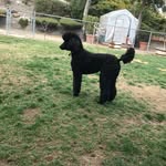Ken Reece - @reece528 - Instagram