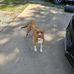 Kenny Ricketts - Facebook