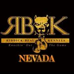 Riddick-Beau Kennels Nevada - @riddickbeaukennels_nv - Instagram