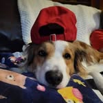 Ken Lisa Roach - @lroach1212 - Instagram