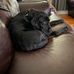 Ken Roark - Facebook