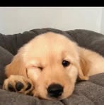 Ken Rodriguez - Facebook