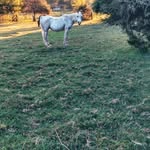 Ken Romanowski - @kenromanowski980 - Instagram