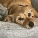 Ken Romines - Facebook