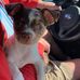 Ken Roper - Facebook
