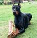 Ken Roper - Facebook