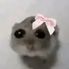 *kenrubin* - @kenrubin5 - TikTok